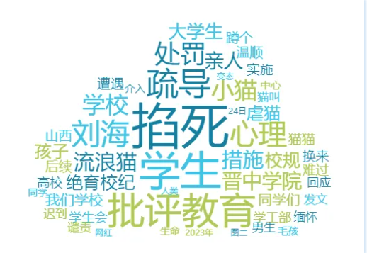 校园网红猫被学生掐死，高校回应暴露管理缺失