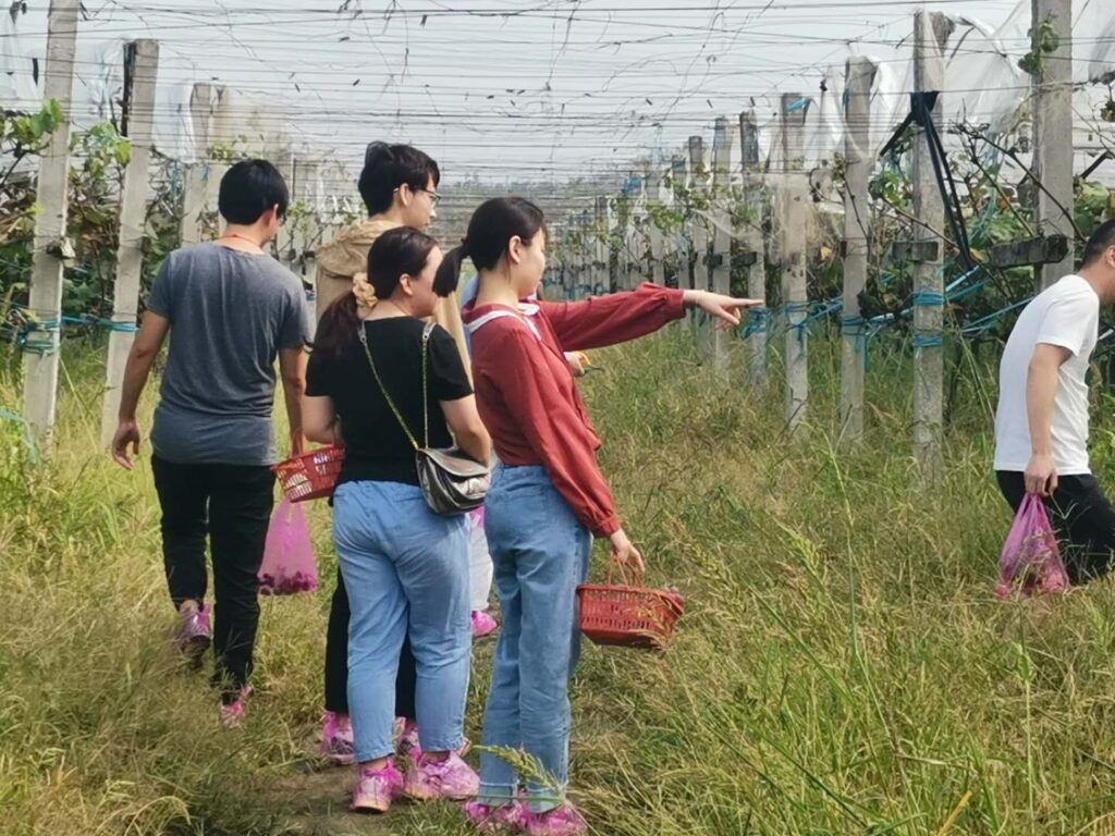 未来由你，博约启航 | 安徽博约信息科技股份有限公司2025年团队招募令